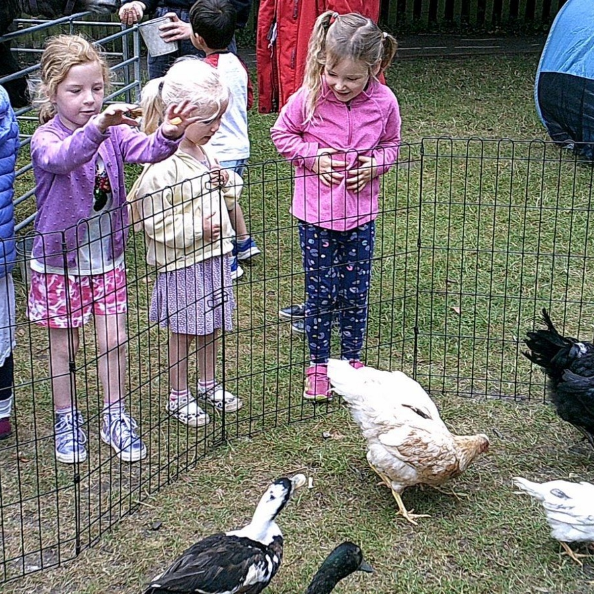 Nursery Federation Farm visits Cookham Nursery